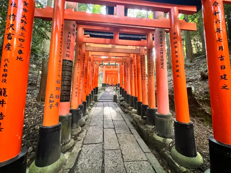 Japan Travel eSIM Guide