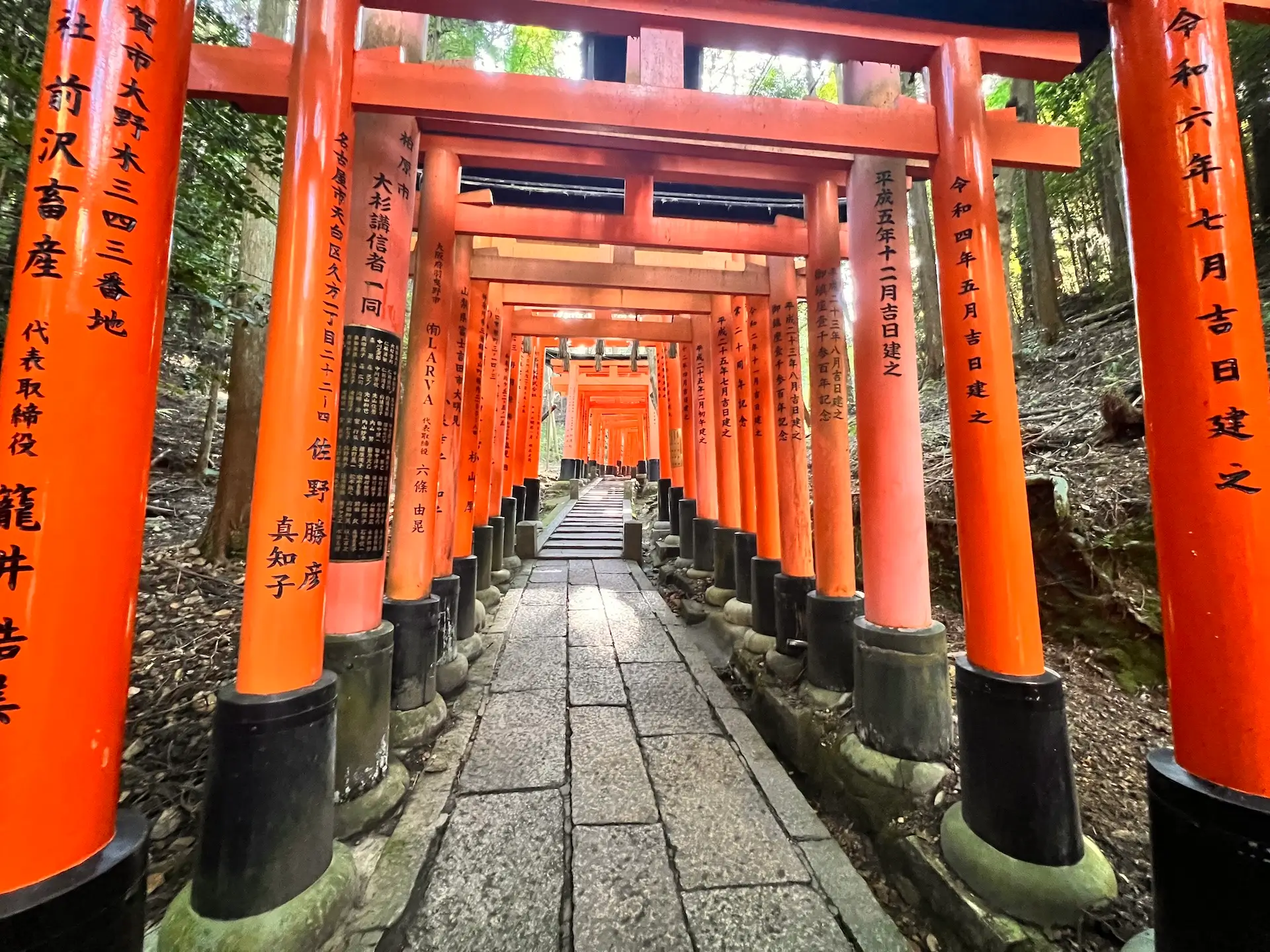 Japan eSIM guide hero