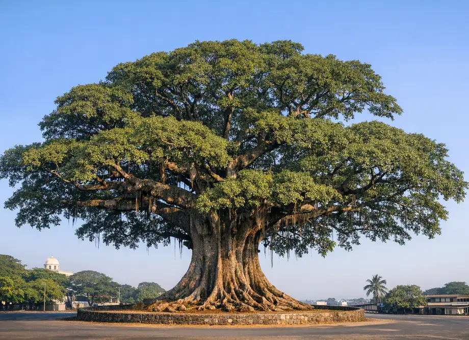 Sierra Leone eSIM – 3GB / 15 Days