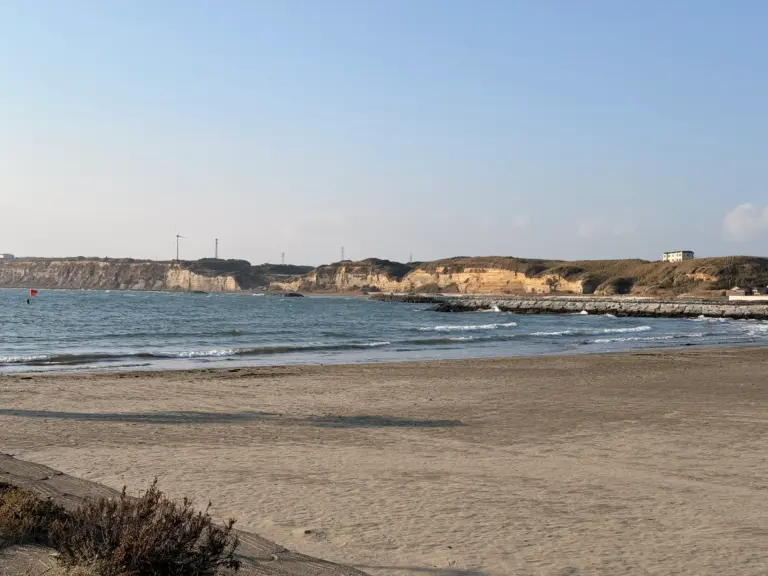 Japan in Winter — Snow Temples, Hot Springs & Neon Dreams | IbiPoint