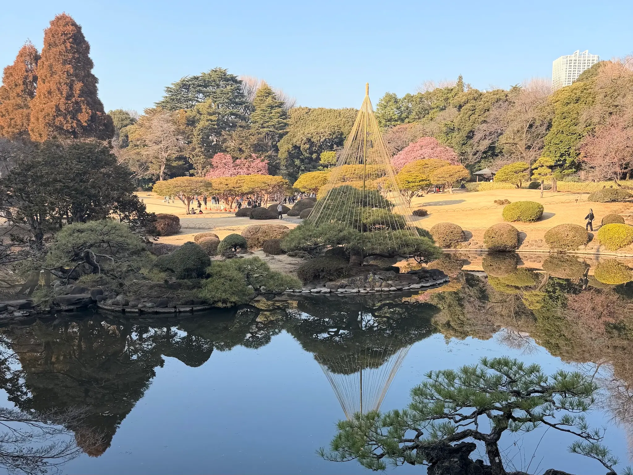 Spring travel and staying connected — couple sharing a moment abroad with IbiPoint eSIM