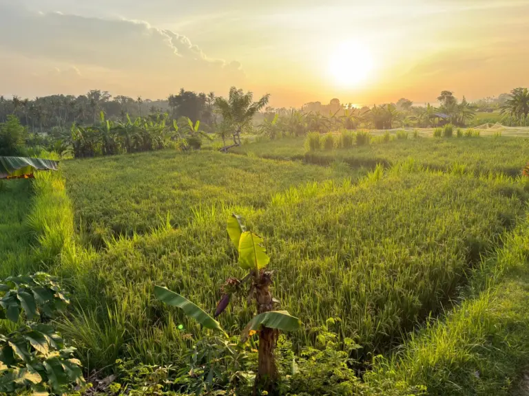 Southeast Asia’s Rainy Season — Why Everyone Is Wrong About It | IbiPoint