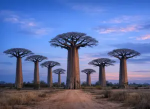 Madagascar eSIM – 3GB / 15 Days
