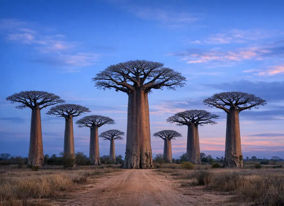 Madagascar · IbiPoint Data Pack · prepaid data-only eSIM 3GB for 15 days