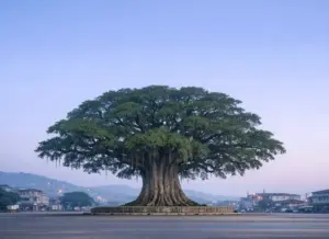 Sierra Leone eSIM - 1GB / 7 Gün