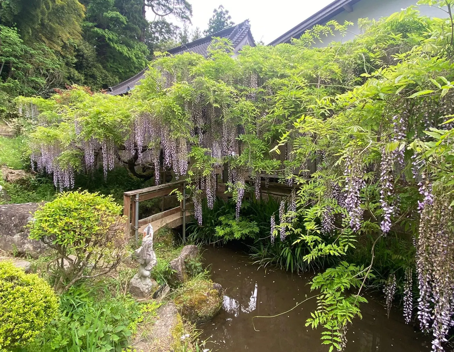 Golden Week in Japan — The Country in Full Bloom | IbiPoint